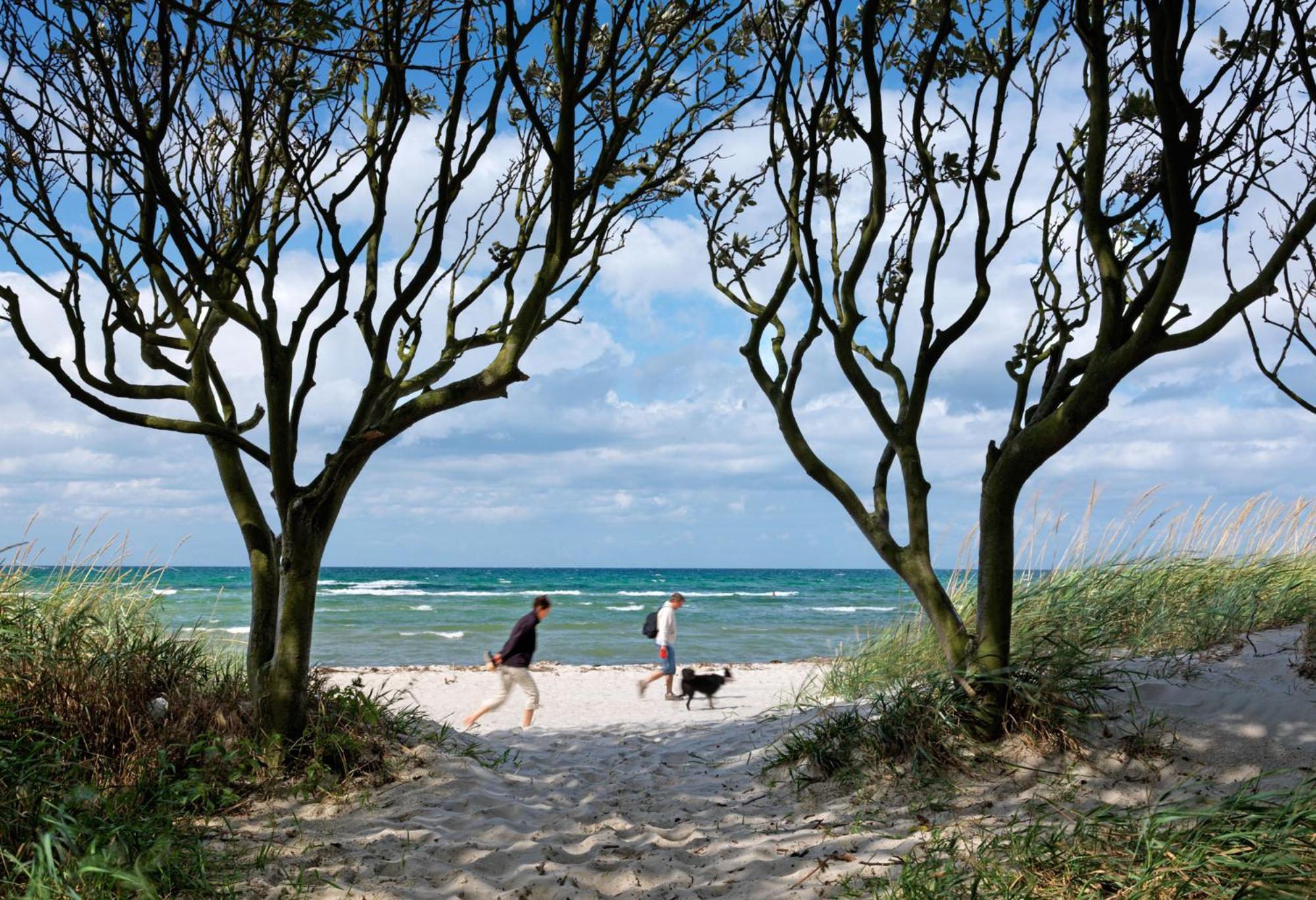 Appartement Am Yachthafen Insel Poel Bagian luar foto